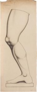 Giovanni Battista Ciolina, Studio di gamba, matita su carta