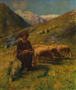 Anziano pastore con pecore
